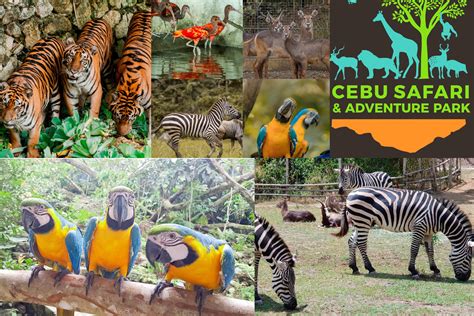 Cebu Safari and Adventure Park: Fun Experience.